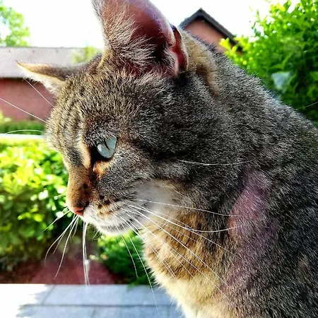 Odenwald Lounge Im Naturpark Bergstrasse-odenwald