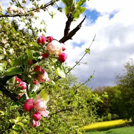 Odenwald Lounge Im Naturpark Bergstrasse-odenwald *