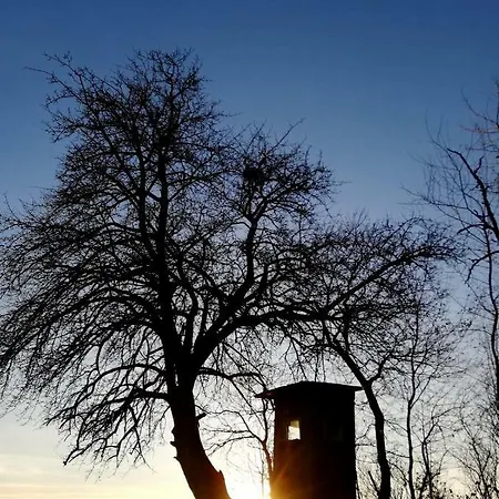 Odenwald Lounge