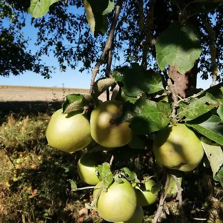 Odenwald Lounge Im Naturpark Bergstrasse-odenwald Prázdninový dům *