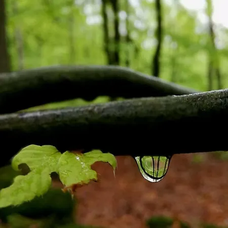 Holiday home Odenwald Lounge Im Naturpark Bergstrasse-odenwald *