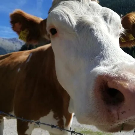 Odenwald Lounge Im Naturpark Bergstrasse-odenwald *