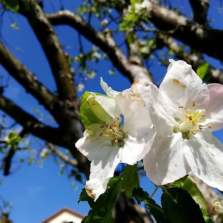 Odenwald Lounge Im Naturpark Bergstrasse-odenwald