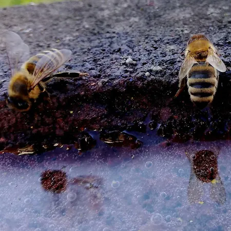 Odenwald Lounge Im Naturpark Bergstrasse-odenwald