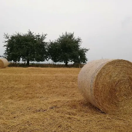 Odenwald Lounge Im Naturpark Bergstrasse-odenwald *