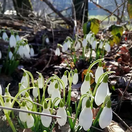 Odenwald Lounge Im Naturpark Bergstrasse-odenwald Reichelsheim