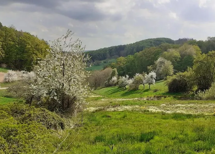 Odenwald Lounge Im Naturpark Bergstrasse-odenwald Reichelsheim