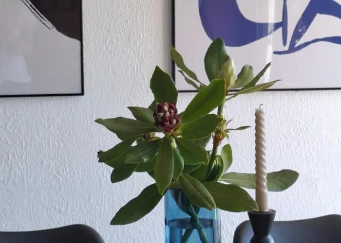 Semesterbostad Odenwald Lounge Im Naturpark Bergstrasse-odenwald Reichelsheim