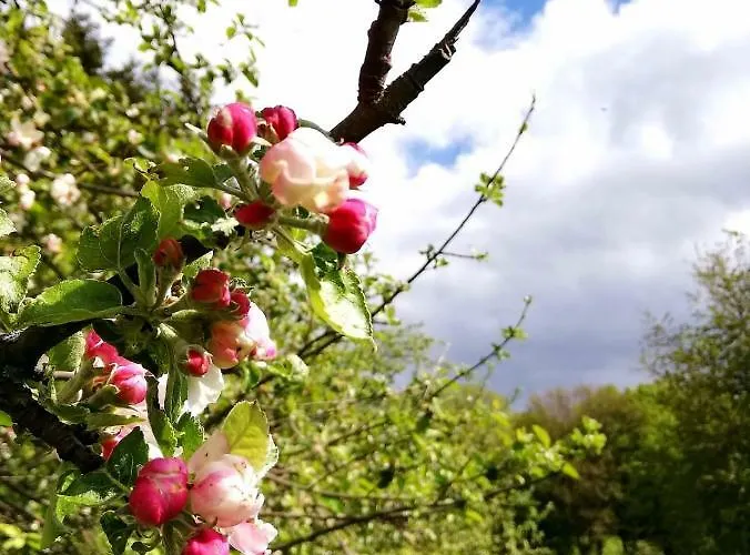 Odenwald Lounge Im Naturpark Bergstrasse-odenwald *