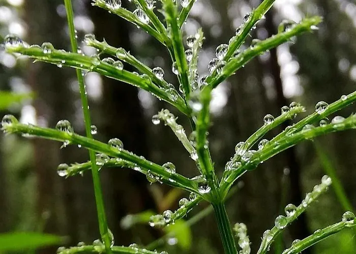 Odenwald Lounge Im Naturpark Bergstrasse-odenwald Reichelsheim