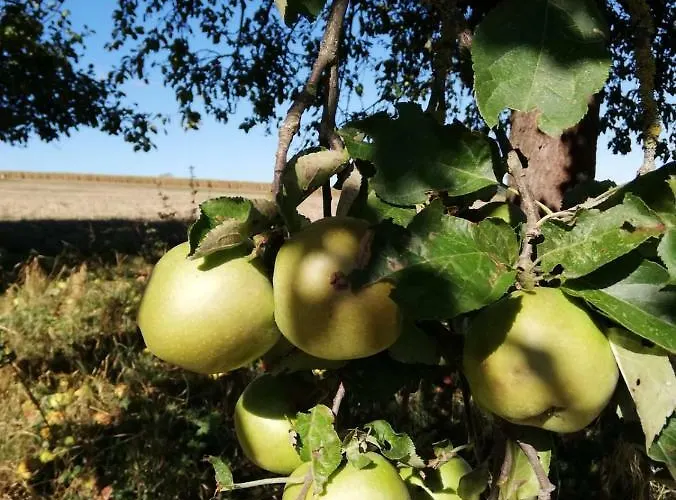 Odenwald Lounge Im Naturpark Bergstrasse-odenwald Dom wakacyjny *