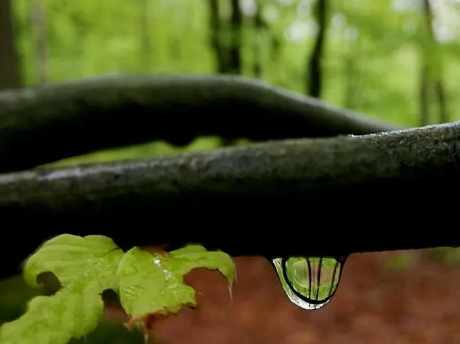 Dom wakacyjny Odenwald Lounge Im Naturpark Bergstrasse-odenwald *