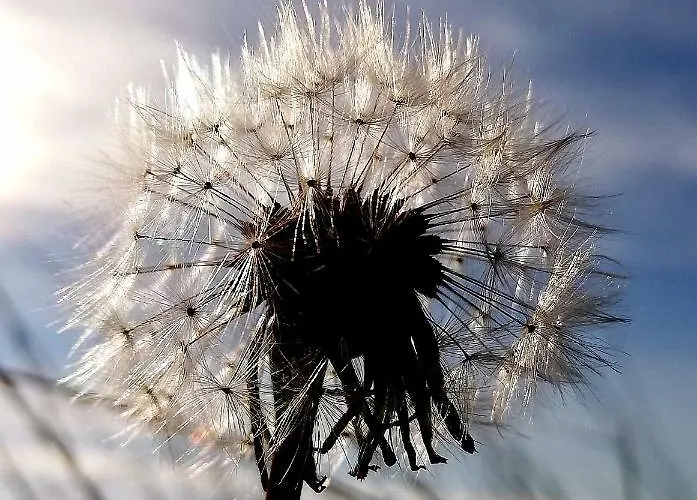 Odenwald Lounge Im Naturpark Bergstrasse-odenwald *