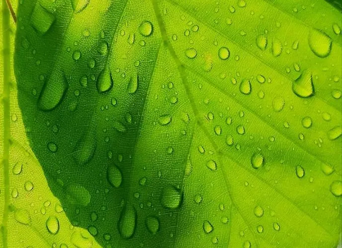 Semesterbostad Odenwald Lounge Im Naturpark Bergstrasse-odenwald *