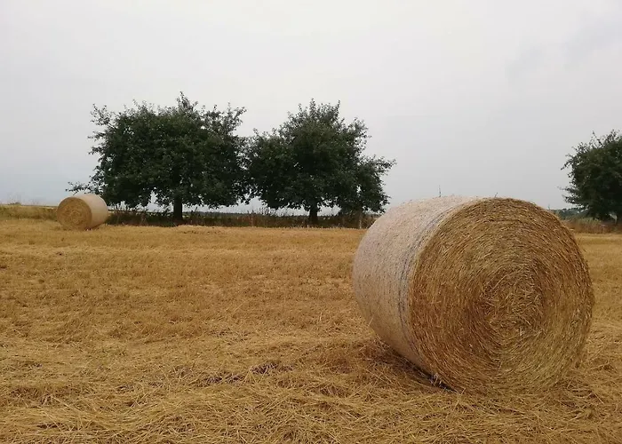 Odenwald Lounge Im Naturpark Bergstrasse-odenwald *