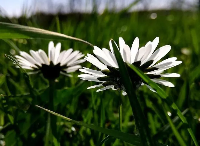 Odenwald Lounge Im Naturpark Bergstrasse-odenwald * Reichelsheim
